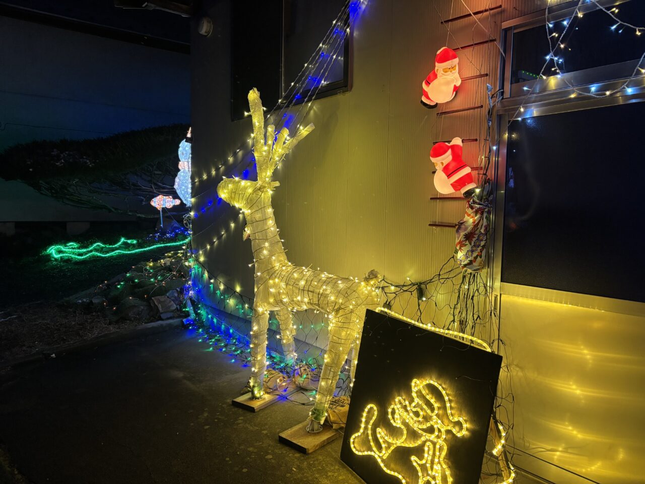 津谷川イルミネーション