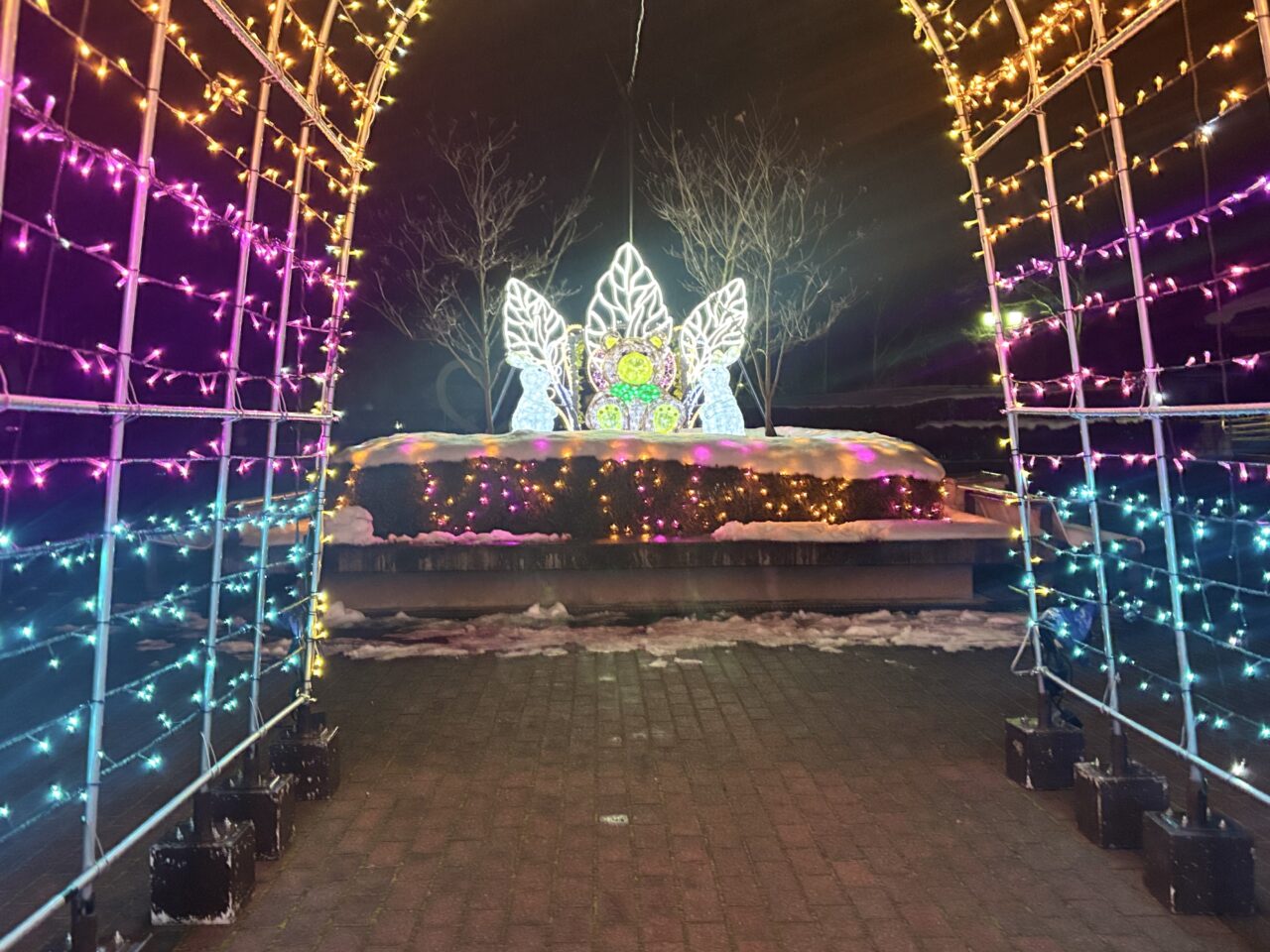 胆沢イルミネーション