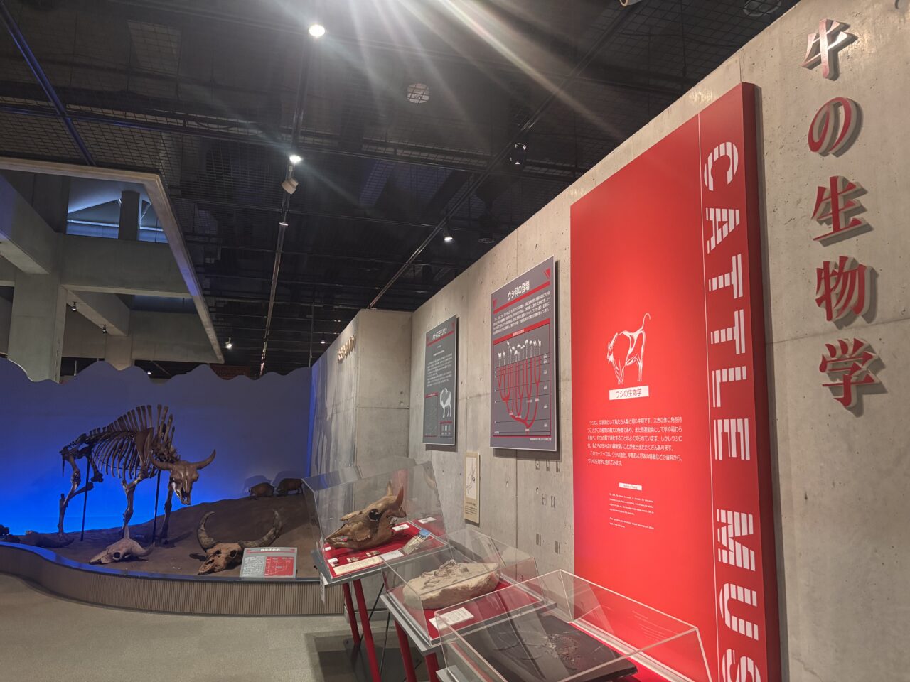 奥州市牛の博物館